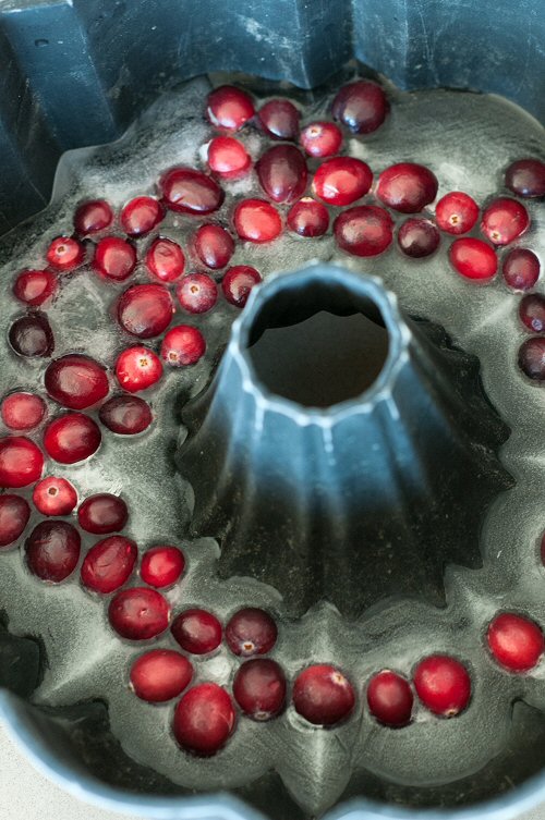 Berries on First Layer of Ice