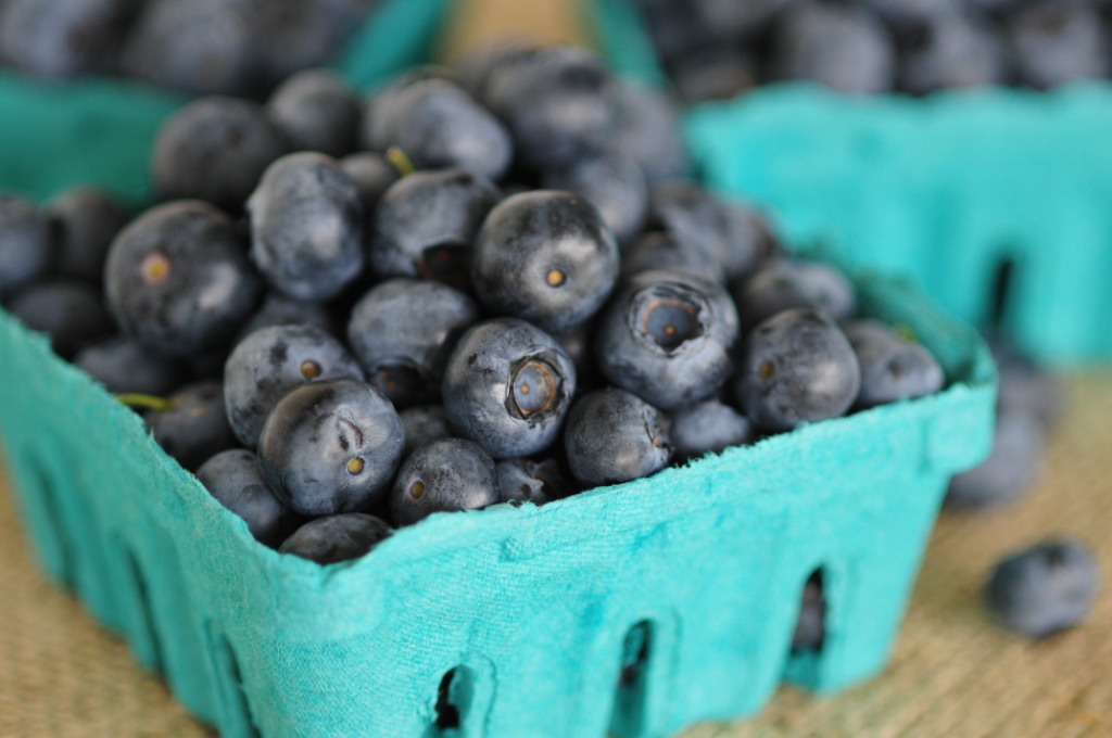 Blueberries are in season!