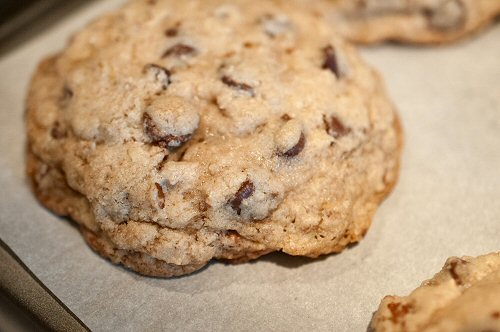 Chocolate Chip Cookie Done to Perfection