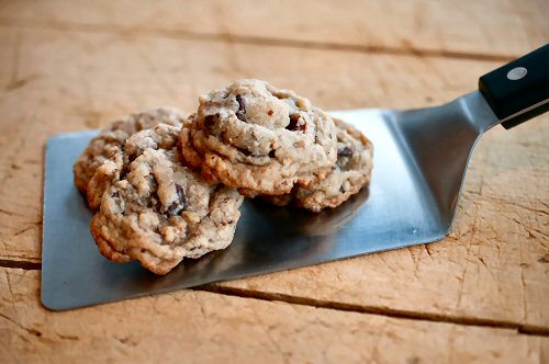 Chocolate Chip Cookie Nibbles