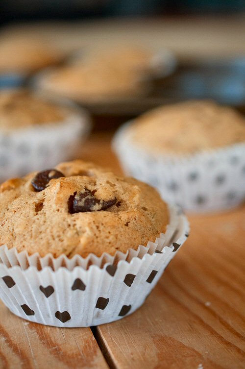 Zucchini Chocolate Chip Muffins