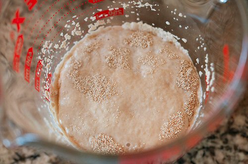 Add Yeast Mixture