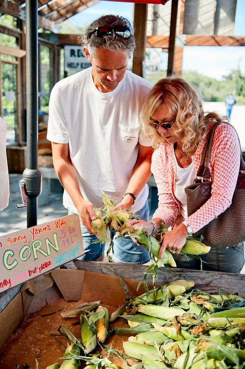 Selecting Corn