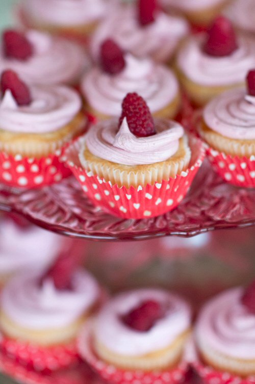 Cupcakes on Tray