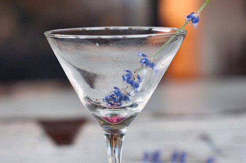 Martini Glass