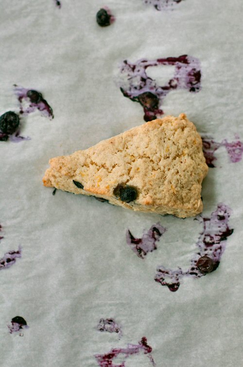 Lemon Blueberry Scone