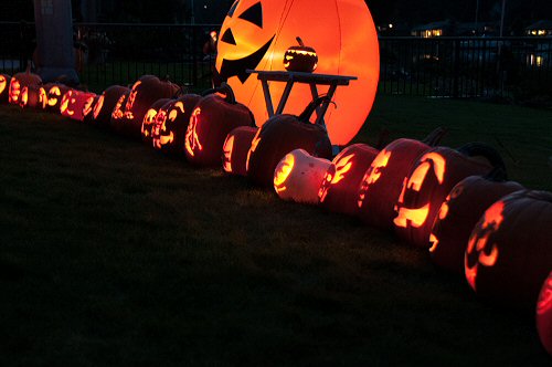 Yard Full of Jack O' Lanterns