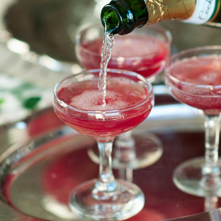 Holiday Champagne Punch