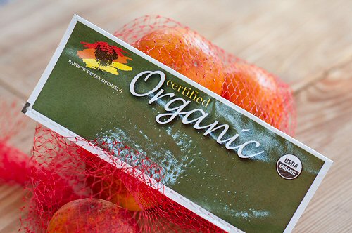 Organic Blood Oranges