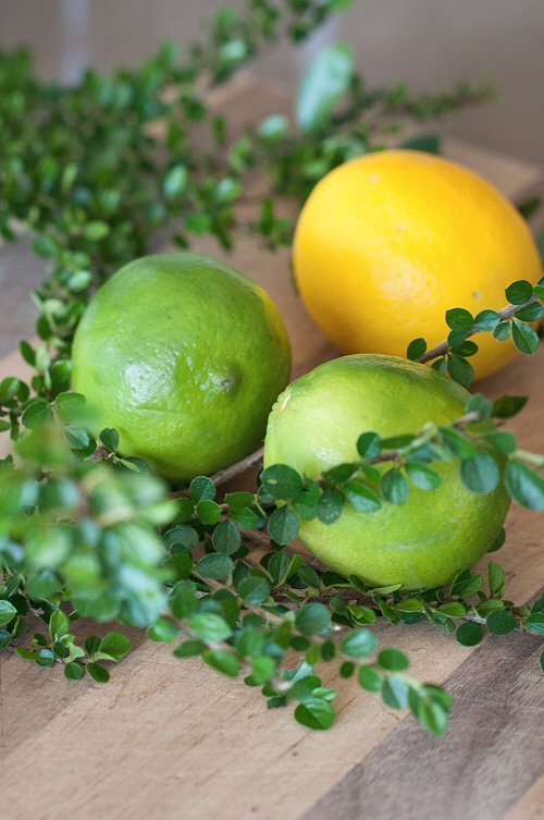 Fruit and Leaves for Ice Ring