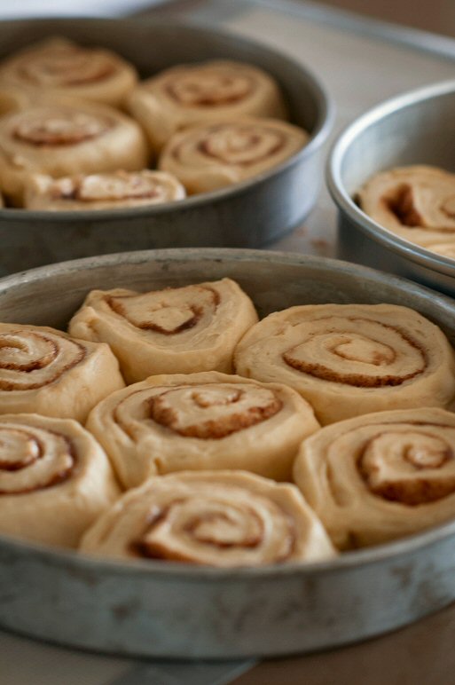 Cinnamon Buns Ready For Baking