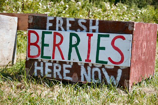 Berry Sign