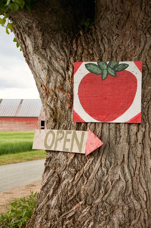 Fruit Stand Is Open