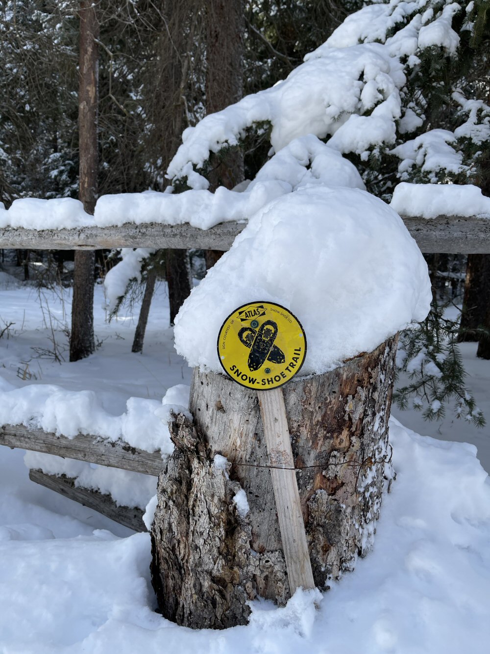 Snowshoe Trail Sign