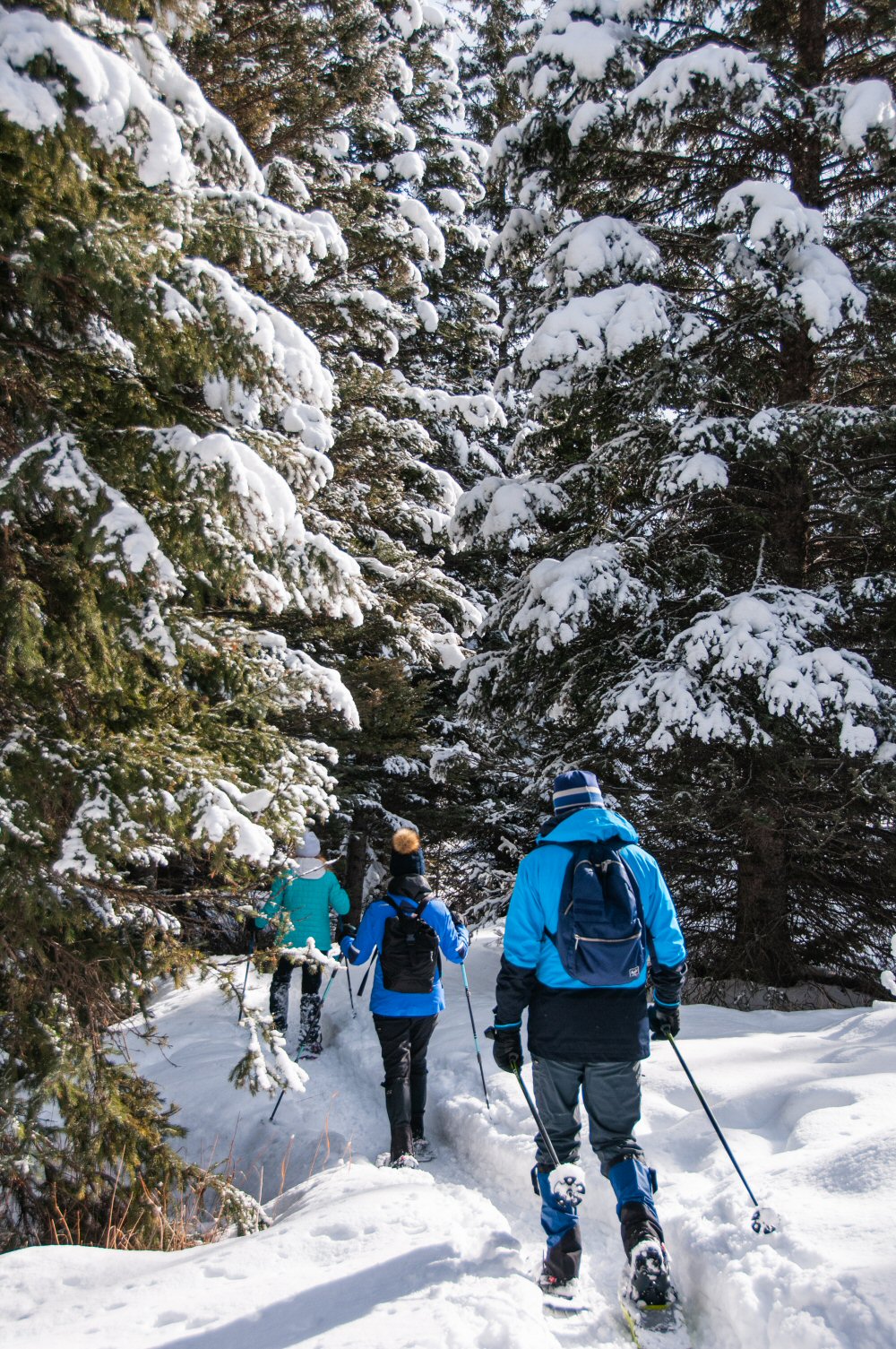 Snowshoeing - Lone Mtn Ranch